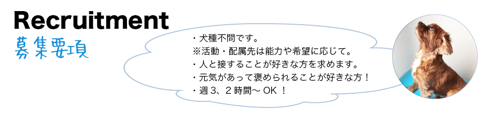 募集要項・犬種不問です。
※活動・配属先は能力や希望に応じて。
・人と接することが好きな方を求めます。
・元気があって褒められることが好きな方！
・週3、2時間～OK！